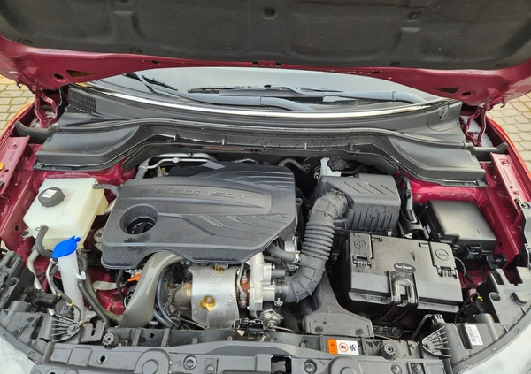 SsangYong Tivoli cena 27500 przebieg: 24500, rok produkcji 2019 z Siedlce małe 497